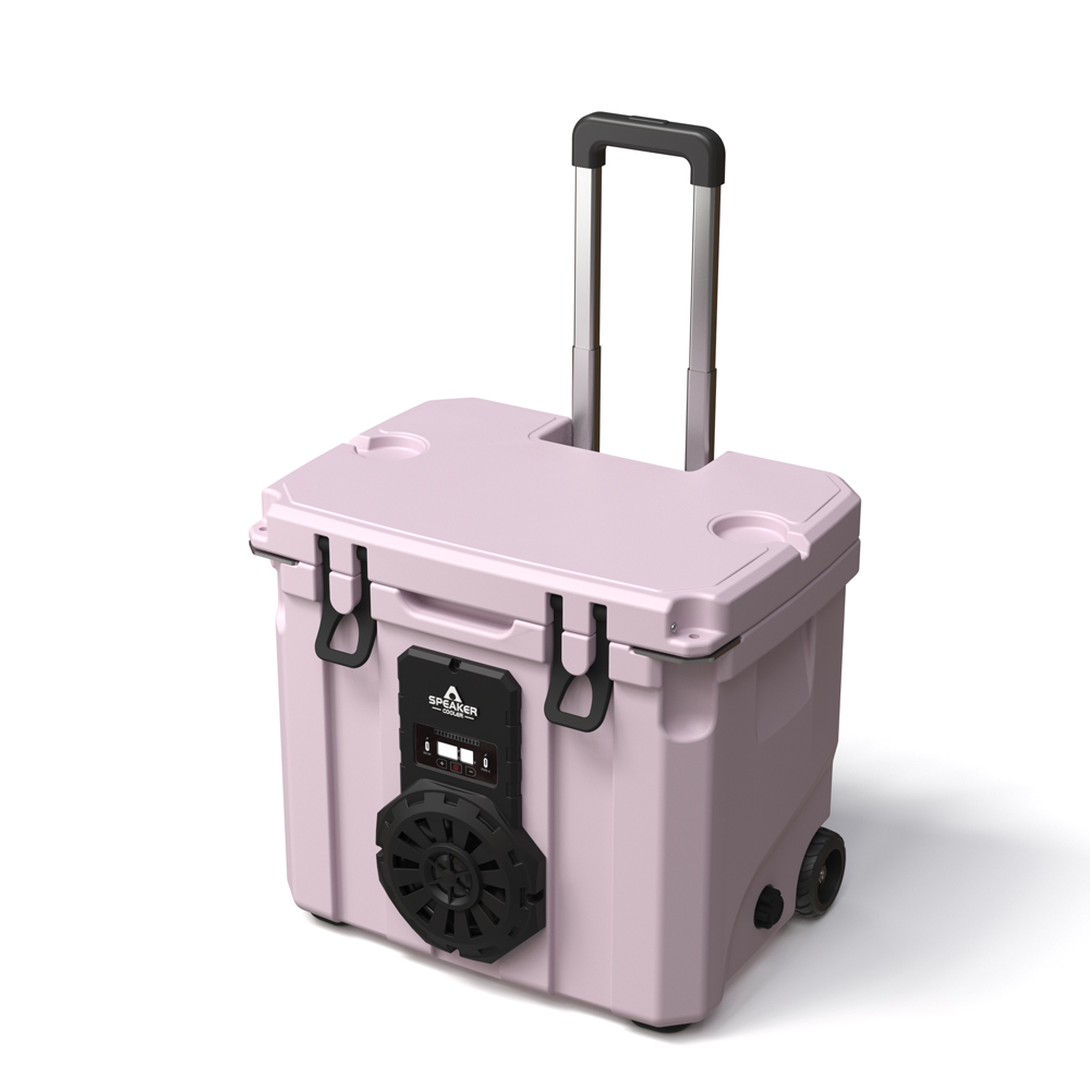 Borsa Frigo Portatile da 35L c - Speakers recensione e prezzo
